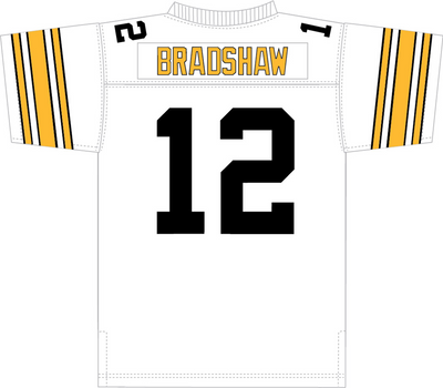 Mitchell & Ness Terry Bradshaw Pittsburgh Steelers 1976 White Legacy Jersey