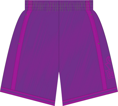 Mitchell & Ness Milwaukee Bucks 2000 Purple Monochrome Swingman Shorts