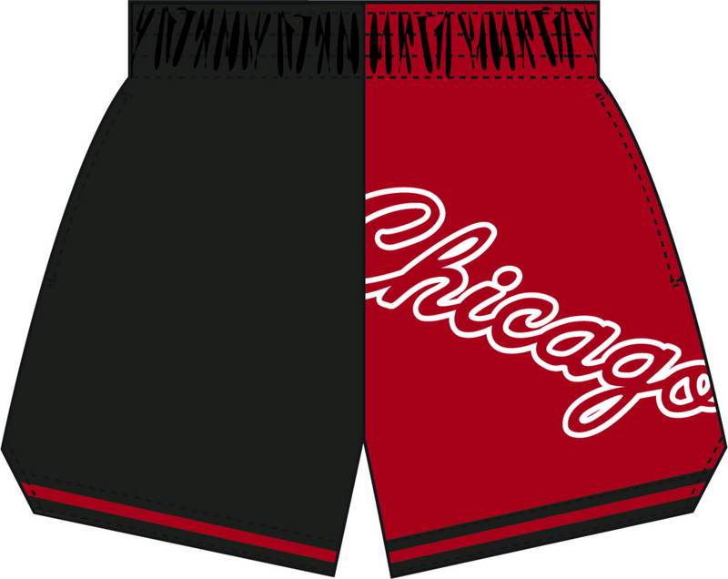 Mitchell & Ness Women's Chicago Bulls Black Big Face Shorts 5.0