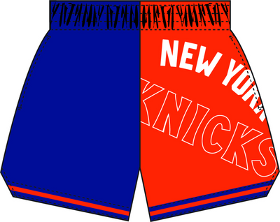 Mitchell & Ness Women's New York Knicks Blue Big Face Shorts 5.0