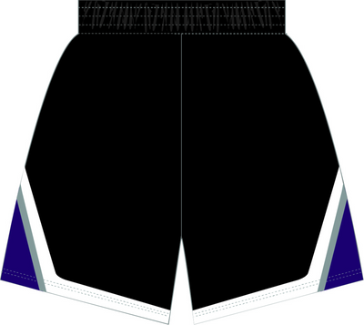 Mitchell & Ness Sacramento Kings 2011 Black Swingman Shorts
