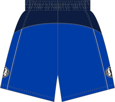 Mitchell & Ness Dallas Mavericks 2010 Capital Blue Dark Shorts
