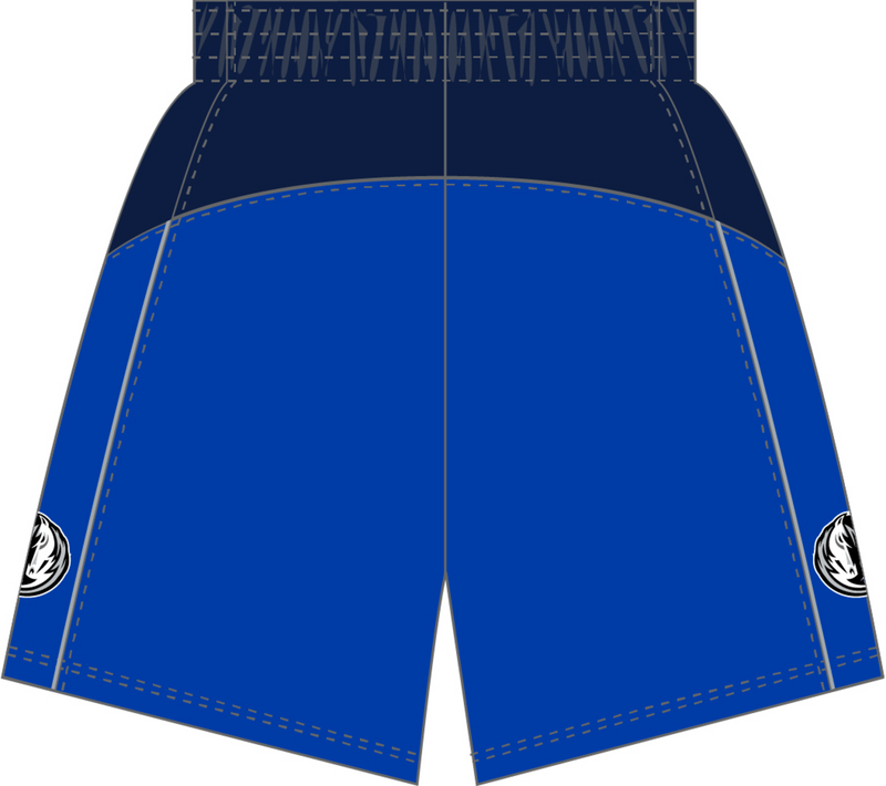 Mitchell & Ness Dallas Mavericks 2010 Capital Blue Dark Shorts