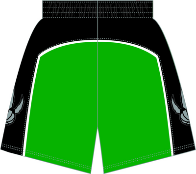 Mitchell & Ness Toronto Raptors 2007 Green Alternate Shorts