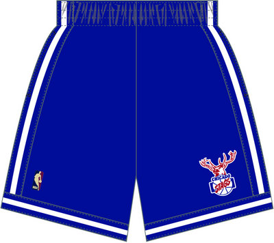Mitchell & Ness Chicago Bulls 2005 Royal Dark Shorts