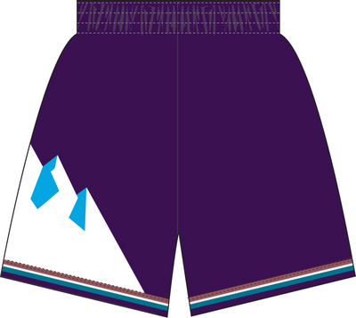Mitchell & Ness Utah Jazz 1996 Purple Swingman Shorts