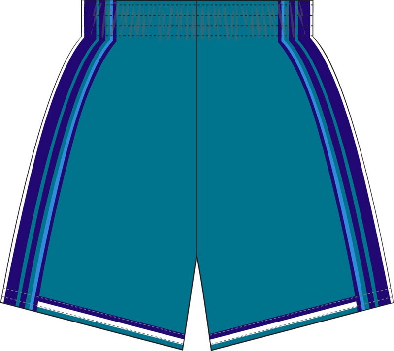 Mitchell & Ness Charlotte Hornets 1999-00 Teal Road Swingman Shorts