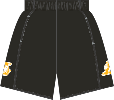 Mitchell & Ness Los Angeles Lakers 2009 Black Team Color Swingman Shorts