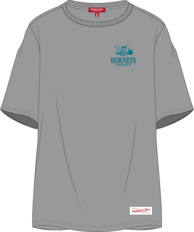 Mitchell & Ness Women's Charlotte Hornets Grey Core Essentials T-Shirt