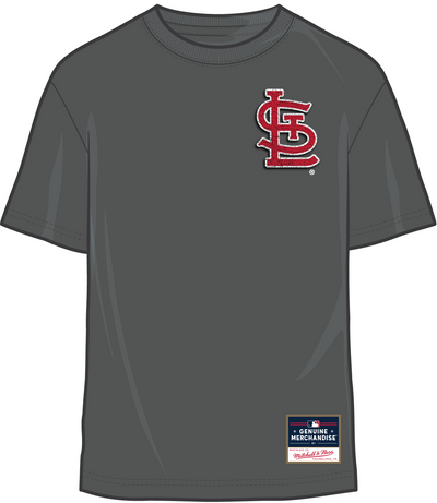 Mitchell & Ness St. Louis Cardinals Charcoal Stadium Faded T-Shirt