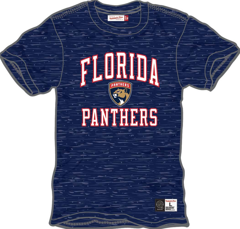 Mitchell & Ness Florida Panthers Astros Blue Current Logo Legendary Slub T-Shirt