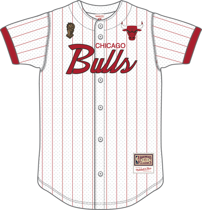 Mitchell & Ness Chicago Bulls White Head Coach Striped Mesh Button Front Top
