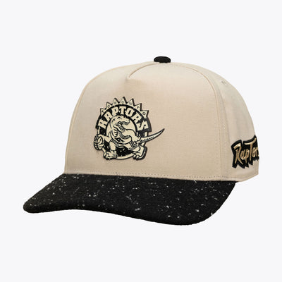 Mitchell & Ness Toronto Raptors Hardwood Classics Cookies & Cream Pro Pinch Snapback Hat